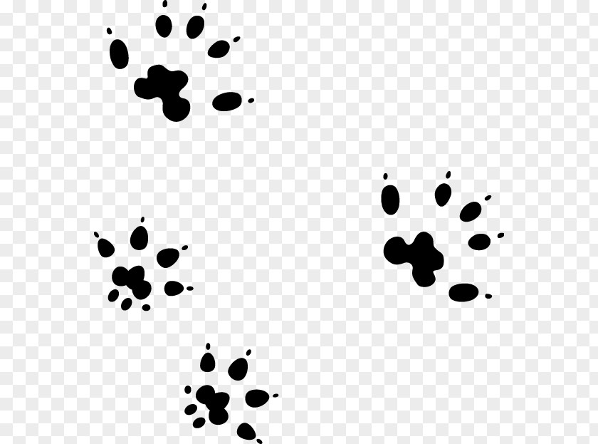 Computer Mouse Paw Animal Track Mats PNG