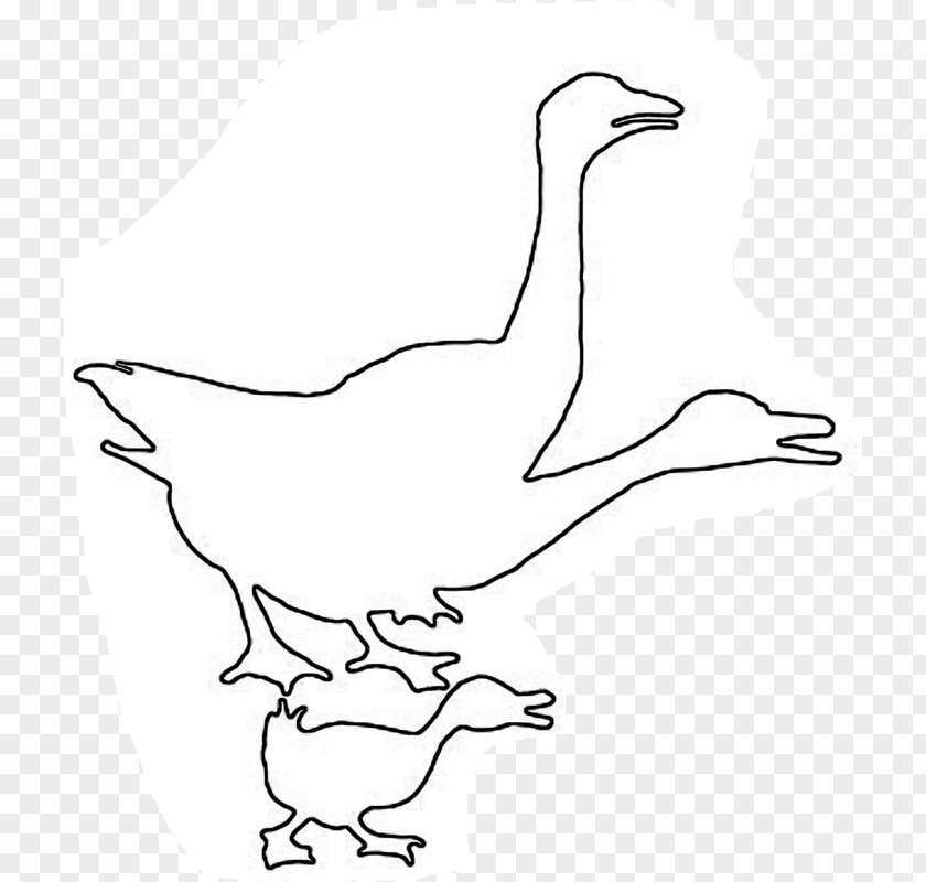 Duck Goose Line Art Cartoon Clip PNG