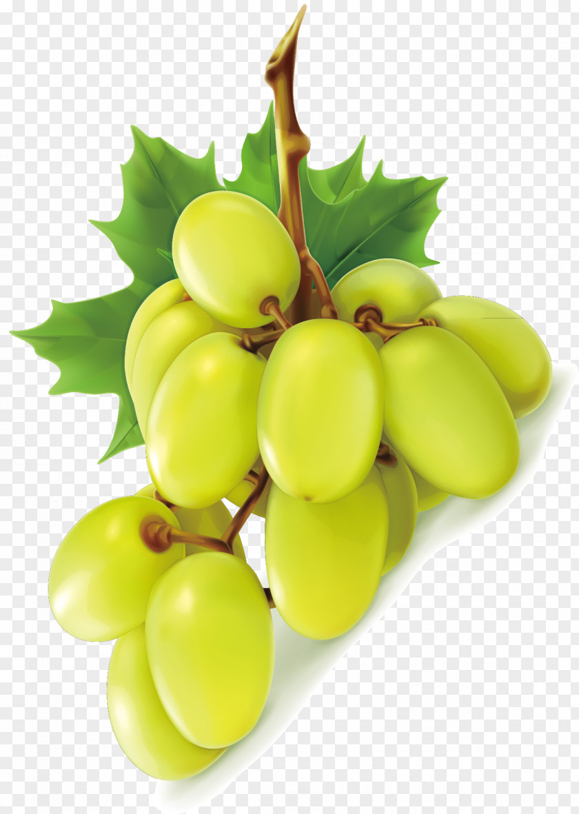 Green Grapes Grape Wine Seedless Fruit PNG