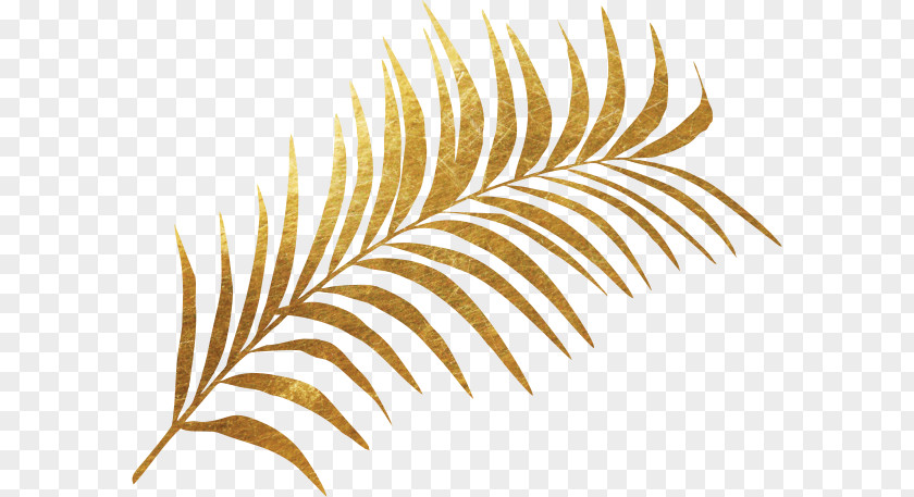 Pure Plant Leaf Fern Gold PNG