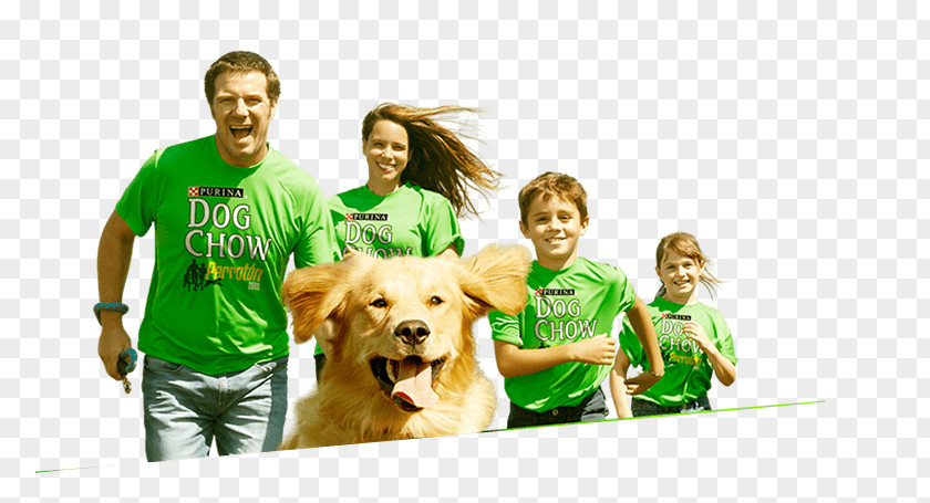 Chow Puppies Dog Breed Companion T-shirt Human Behavior PNG
