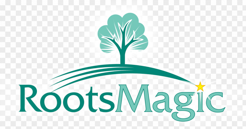 Family Genealogy Software RootsMagic Computer Tree Maker PNG