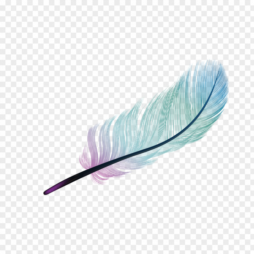 Gradient Blue Feather Light Color PNG