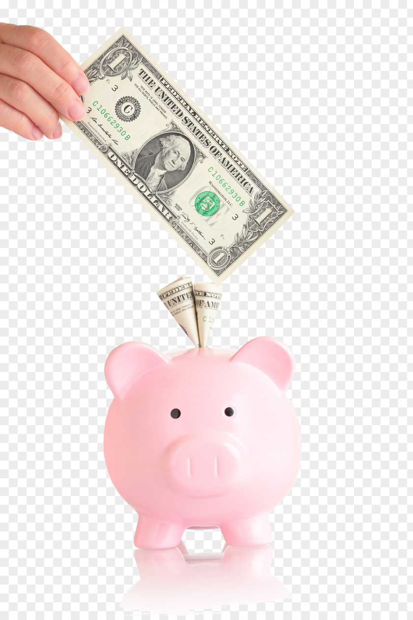 Piggy Bank United States Dollar Money Saving Stock Photography PNG