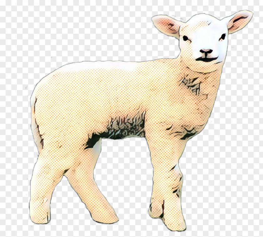 Sheep Cattle Goat Terrestrial Animal Snout PNG