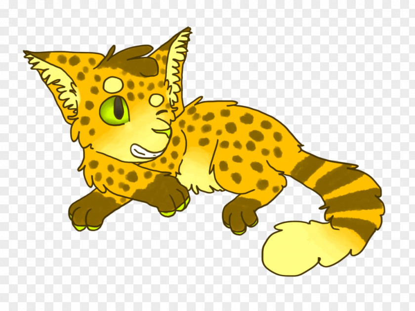 TIRED Cat Ocelot Cheetah Mammal Carnivora PNG