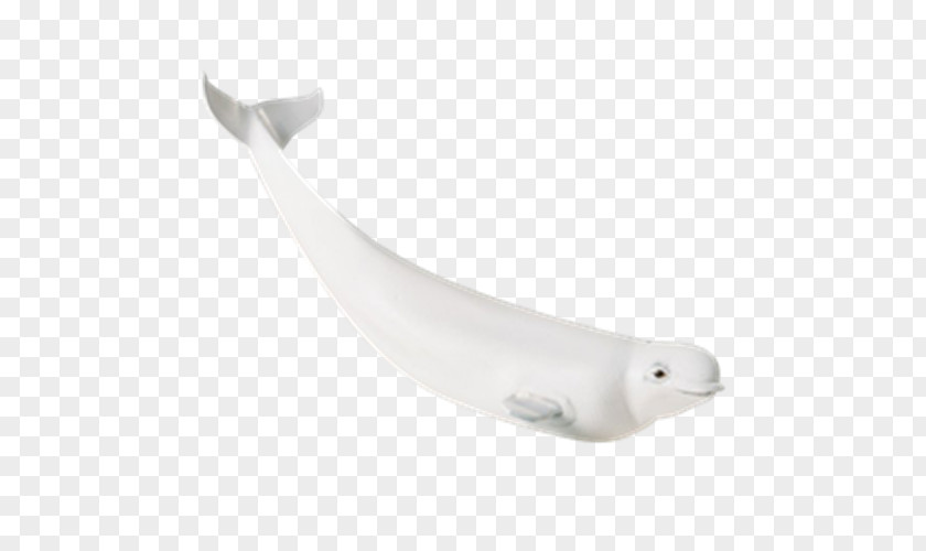 Toy Beluga Whale Stuffed Animals & Cuddly Toys Cetaceans Shedd Aquarium PNG