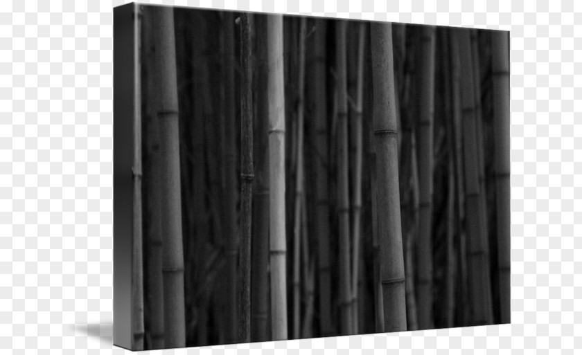 Wood Stain /m/083vt Rectangle Black M PNG