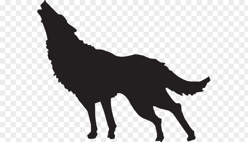 Bridal Veil 12 2 1 Dog Drawing Silhouette Image Illustration PNG