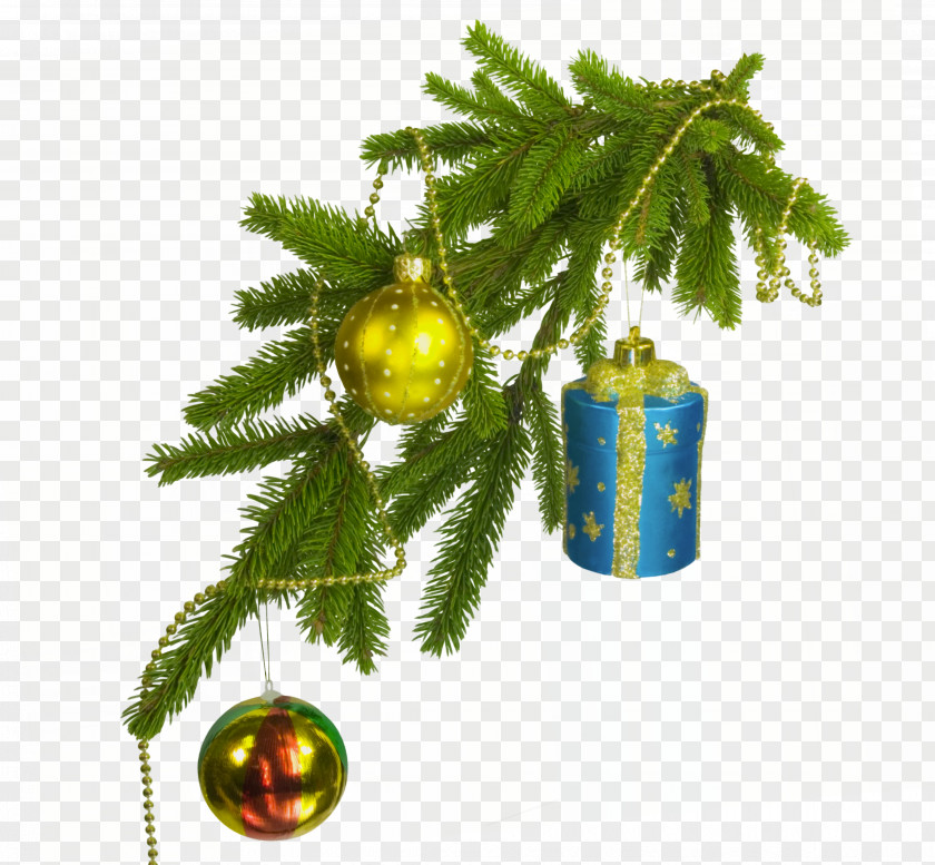 Christmas Tree New Year Fir PNG