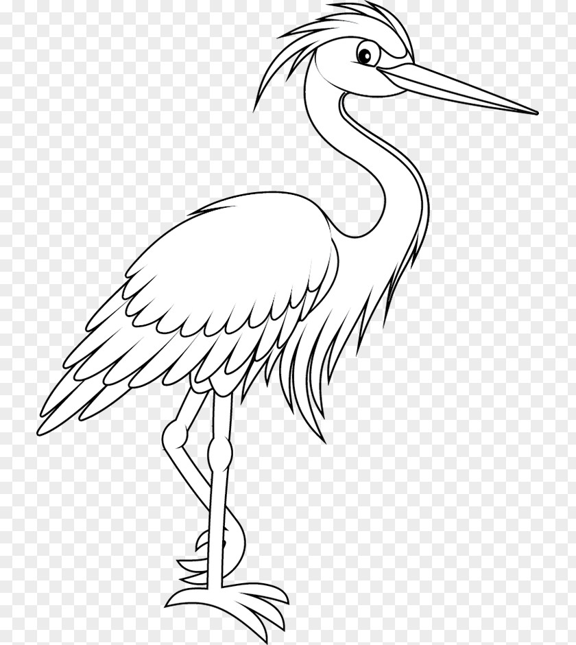 Crane Bird Stork Beak Pelecaniformes PNG