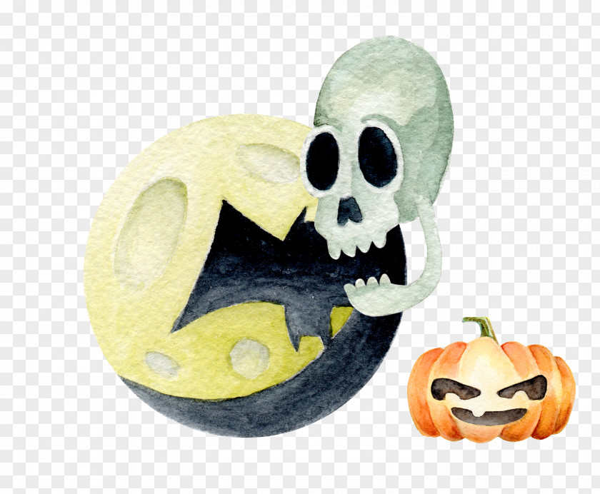 Halloween Pumpkin Calavera Jack-o-lantern PNG Jack-o-lantern, Skull clipart PNG