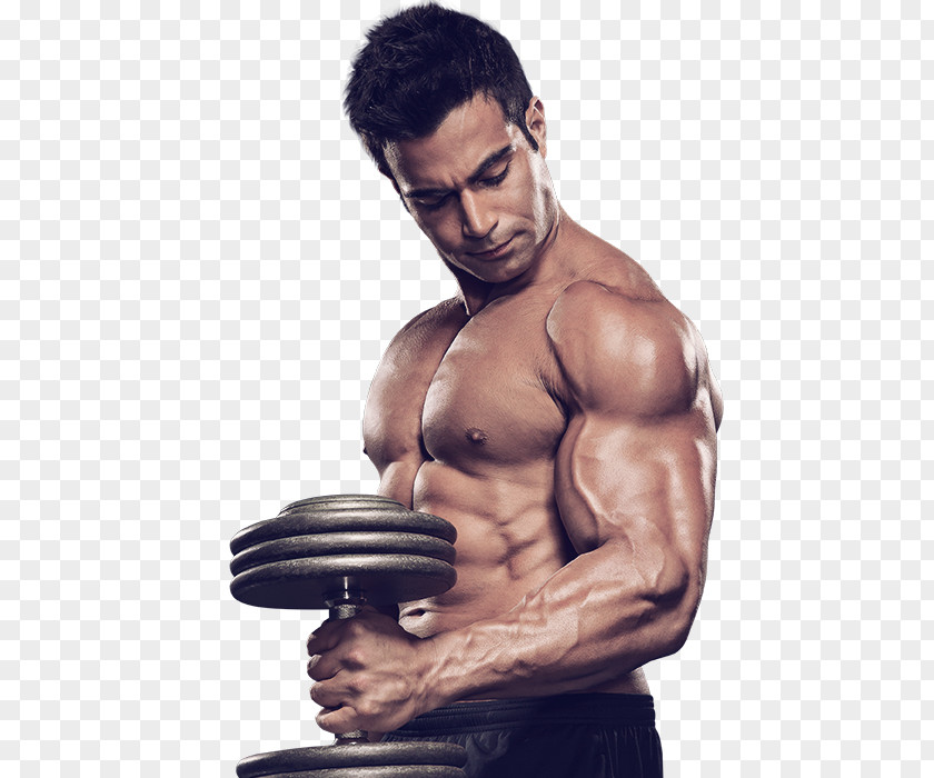 Muscle Dietary Supplement Bodybuilding Weight Loss PNG