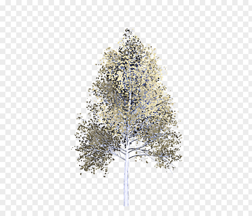 Pine Christmas Tree PNG