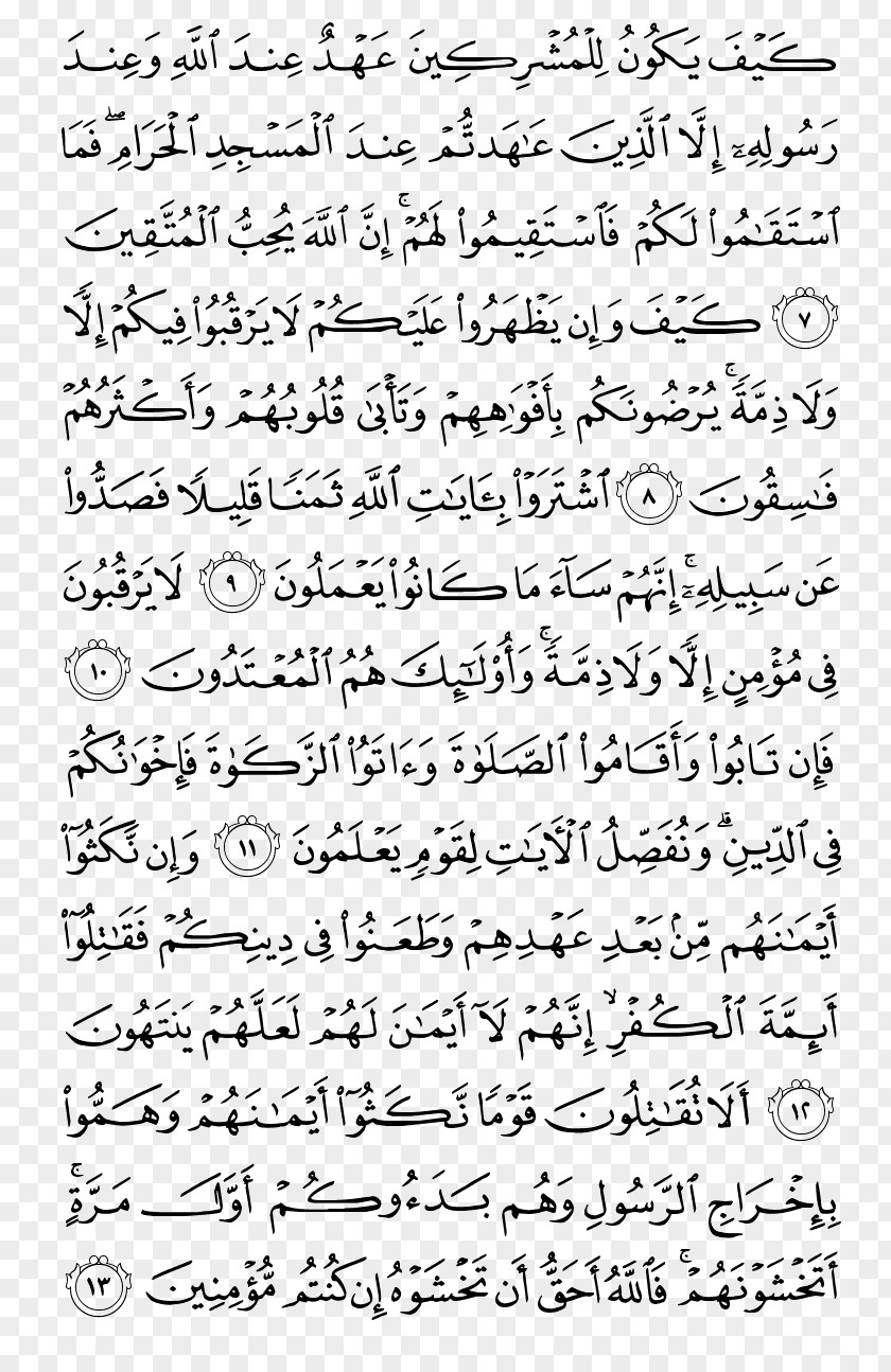 Quran Karim Ar-Rahman Surah Tafsir Al-Mu'minoon PNG