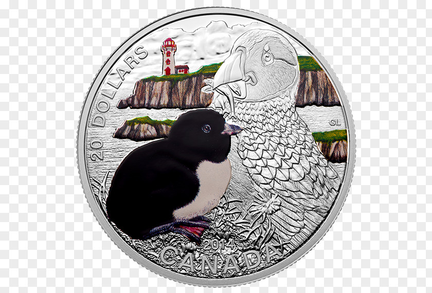 Silver Coin Atlantic Puffin Mint PNG