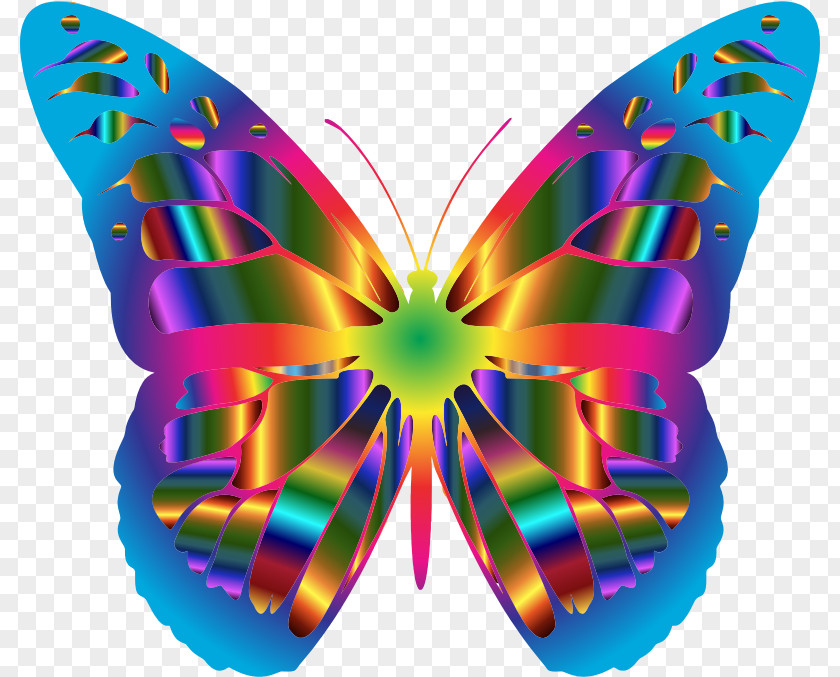Small Butterfly Monarch Clip Art PNG