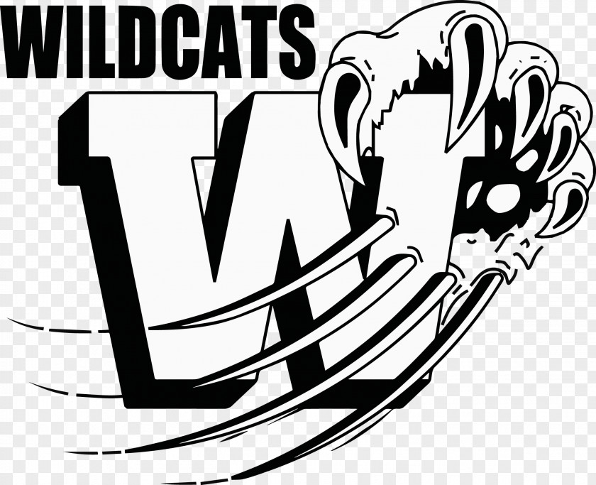 Cat Wildcat Clip Art Mascot Openclipart Vector Graphics PNG