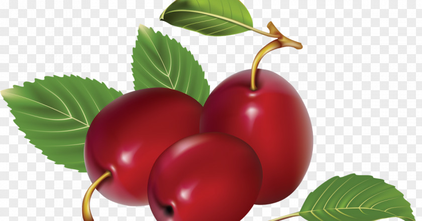 Cherry Image File Formats Clip Art PNG
