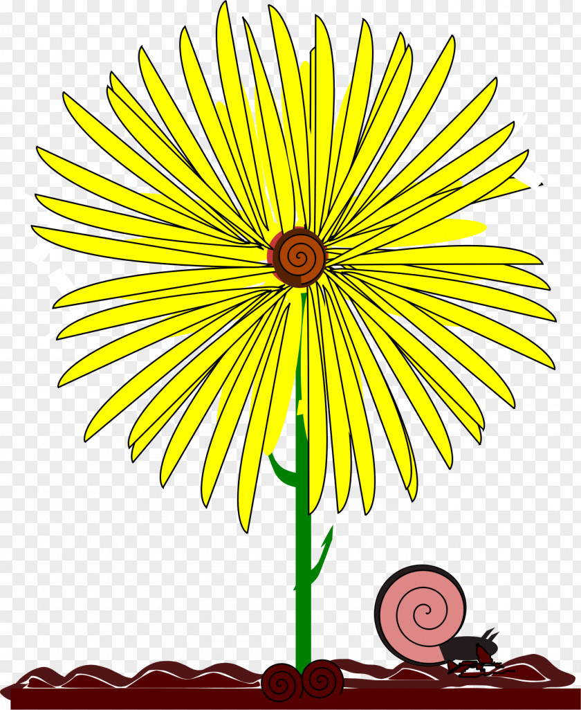 Flower Common Daisy Yellow Clip Art PNG