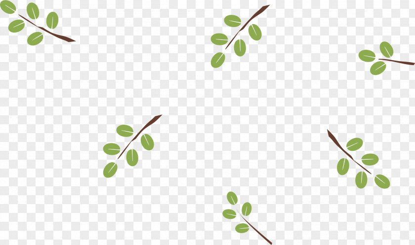 Leaf Twig Green Plant Stem Computer PNG