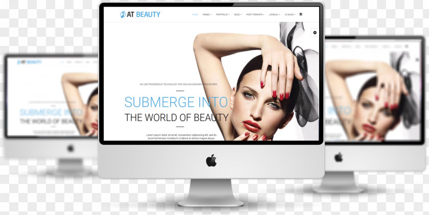 Mony Responsive Web Design Template System Joomla Beauty Parlour PNG