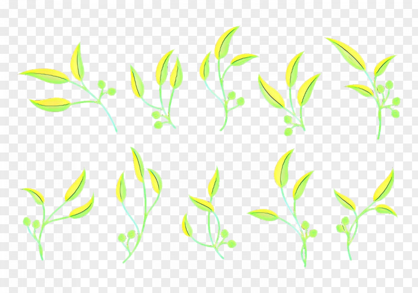 Plant Stem Pedicel Drawing Of Family PNG