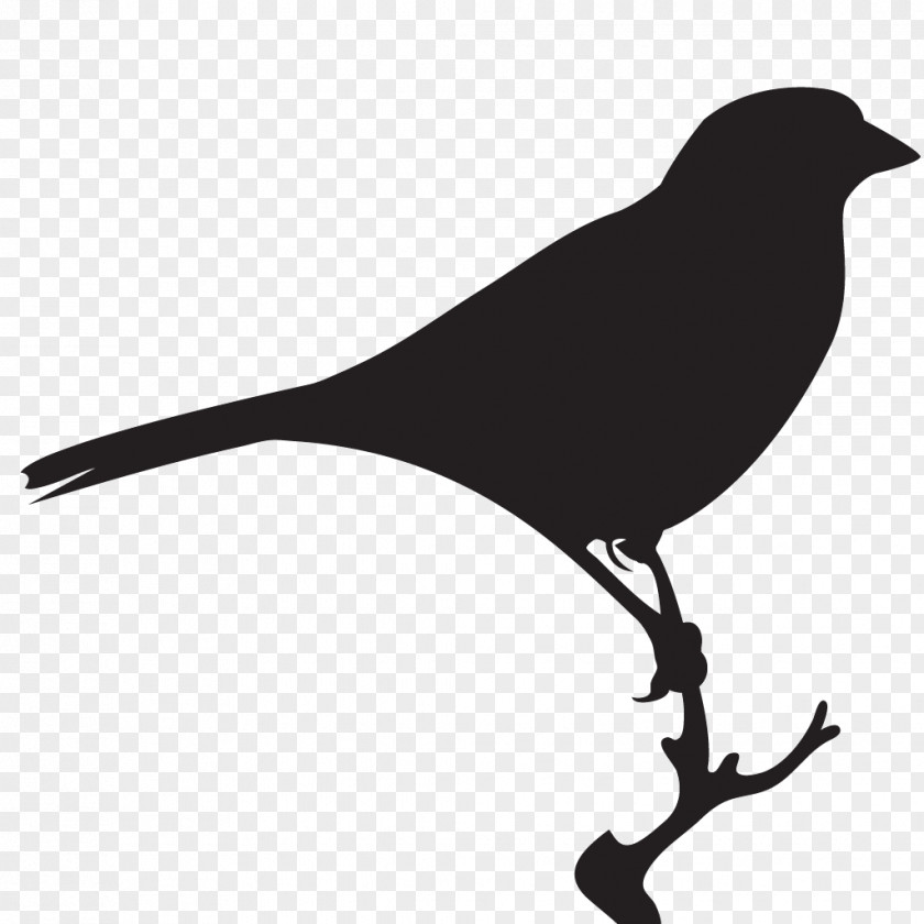 Sparrow Bird House American Crow Sparrows PNG