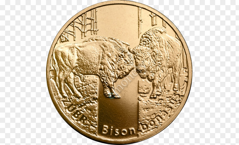 Coin Sovereign Poland Monety Okolicznościowe 2 Złote Lada Vesta PNG
