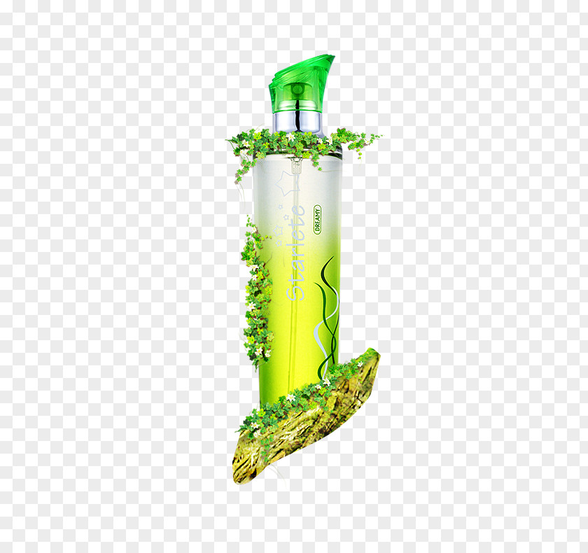 Exquisite Perfume Bottles PNG