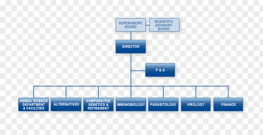 Organigram Organizational Chart Solicitor General Of Brazil Procuradoria-Geral Federal Public Procuracy PNG