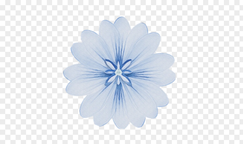 Petal Chicory PNG