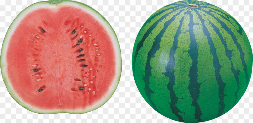 Watermelon Image Seed Oil PNG