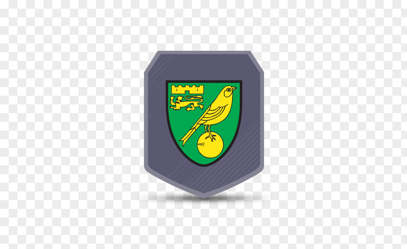 Efl Championship Norwich City F.C. FIFA 18 EFL Hull English Football League PNG