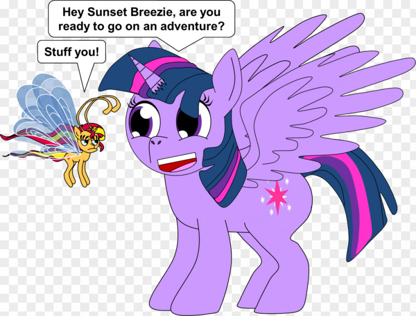 My Little Pony Twilight Sparkle Rainbow Dash Sunset Shimmer Pinkie Pie PNG