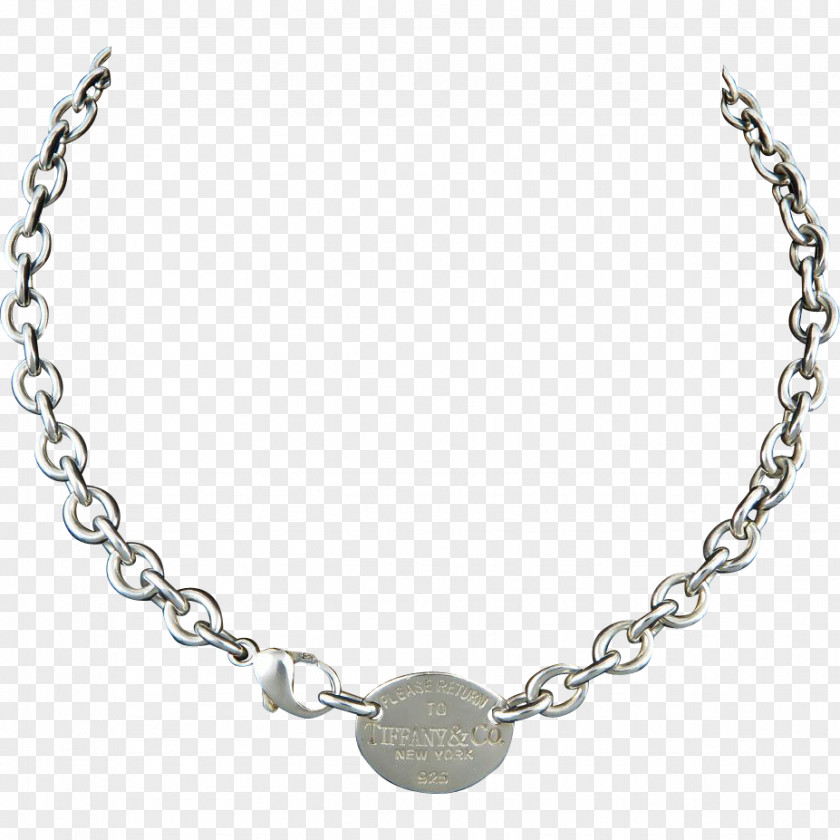 Necklace Earring Charm Bracelet Pendant PNG