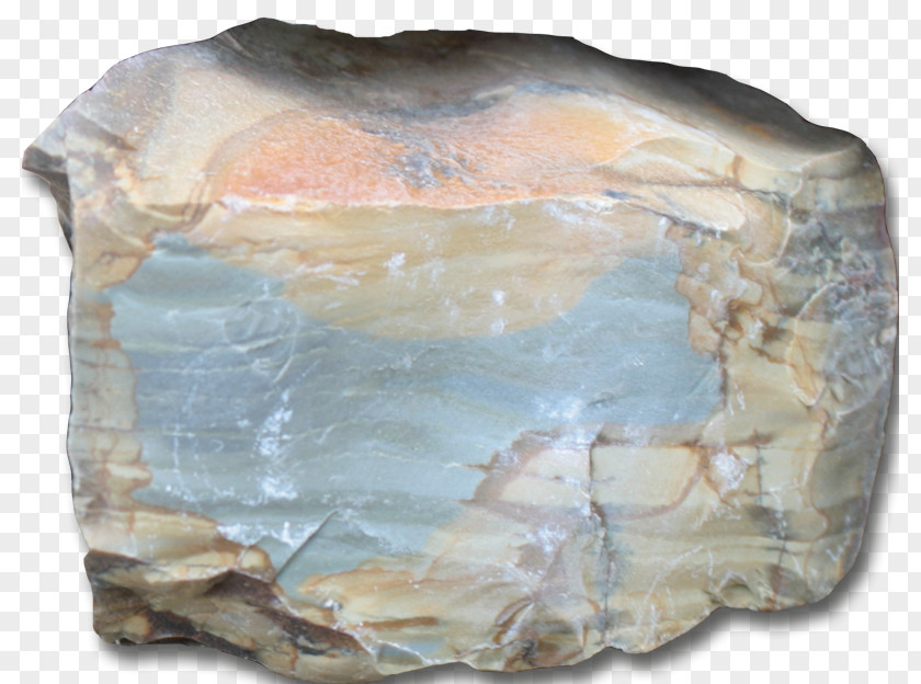 Rose Leslie Gulch Owyhee River Mineral Jasper Petrified Wood PNG