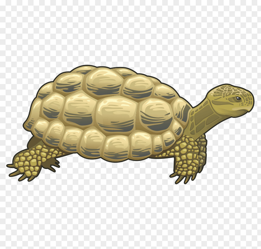 Turtle Reptile Giraffe Clip Art PNG