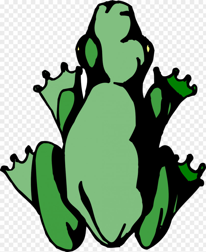 Amphibian Edible Frog Legs The Tree PNG