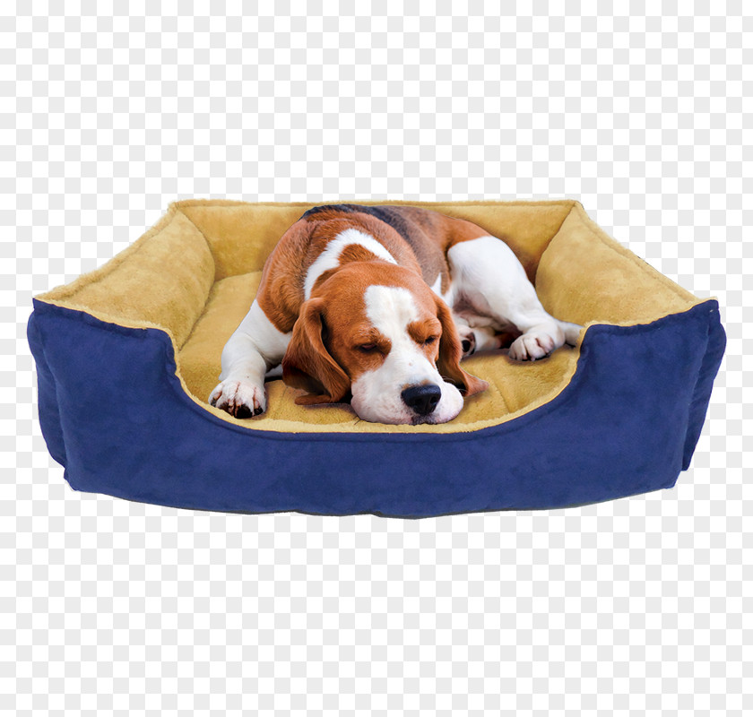 Dog Max Breed Puppy Collar Pillow PNG