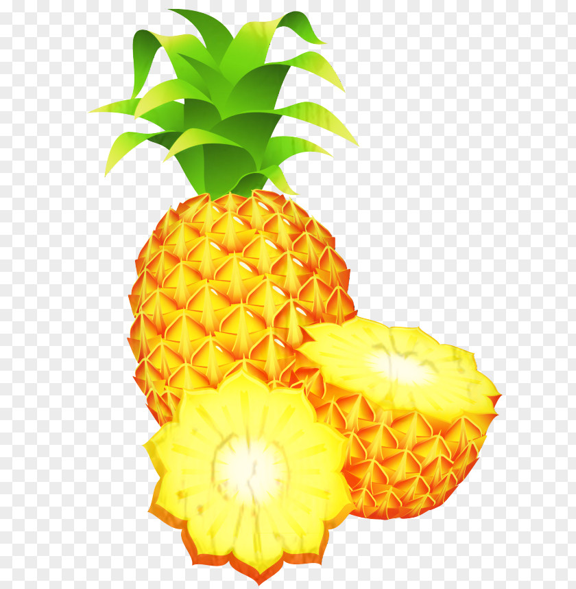Pineapple Vector Graphics Clip Art Fruit PNG