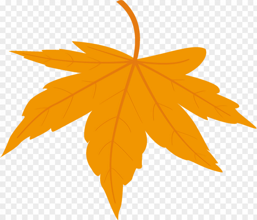 Plane Sky Maple Leaf Fallen Dead PNG