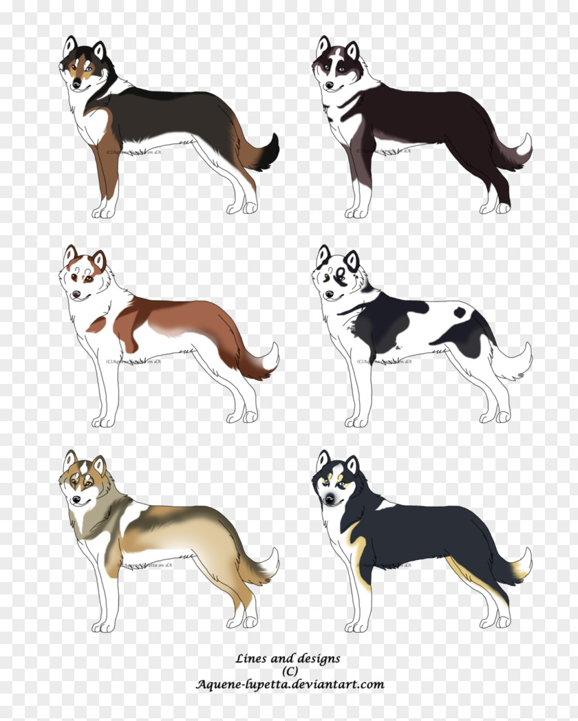 Siberian Husky Dog Breed Cartoon PNG