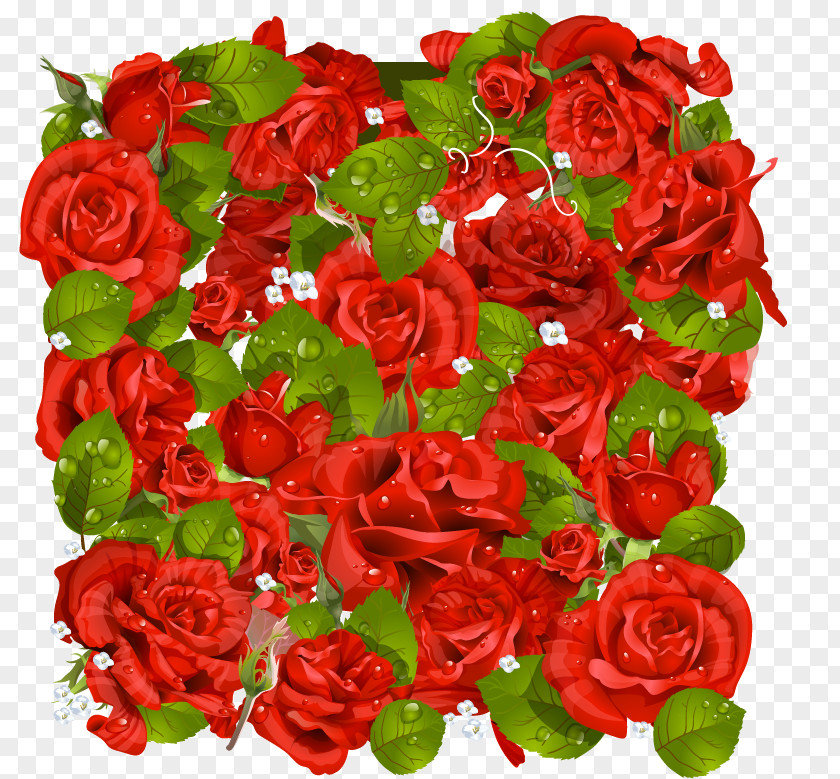 Tiff Garden Roses Picture Frames Clip Art PNG