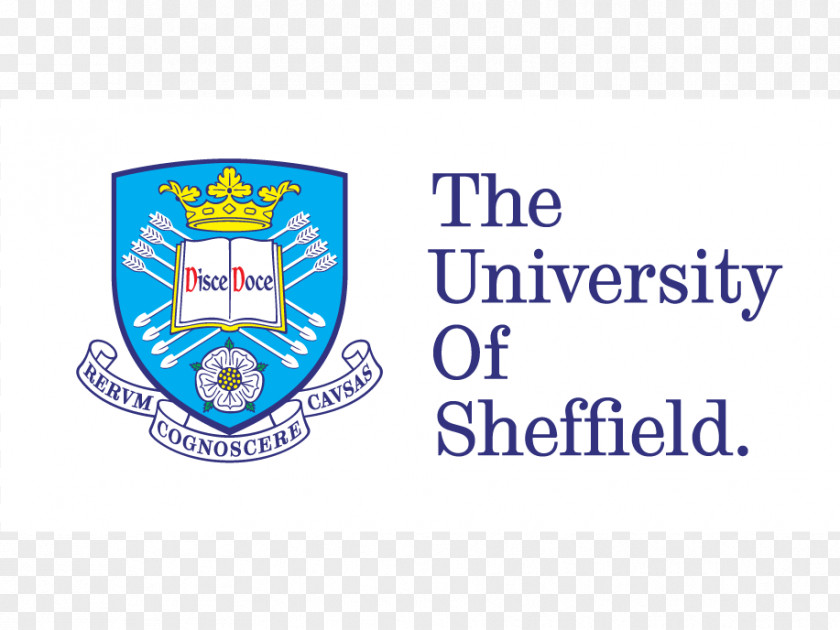 To All The Boys I've Loved Before Read Online University Of Sheffield Logo Master's Degree Organization PNG
