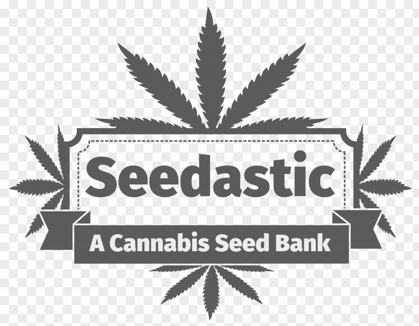 Cannabis Hemp Vector Graphics Illustration Logo PNG