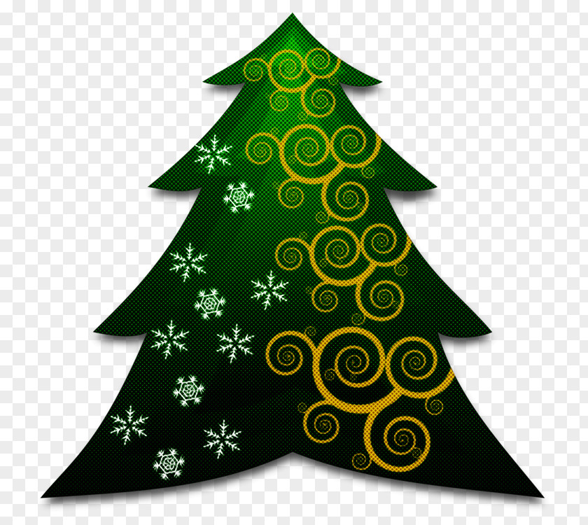 Conifer Fir Christmas Tree PNG