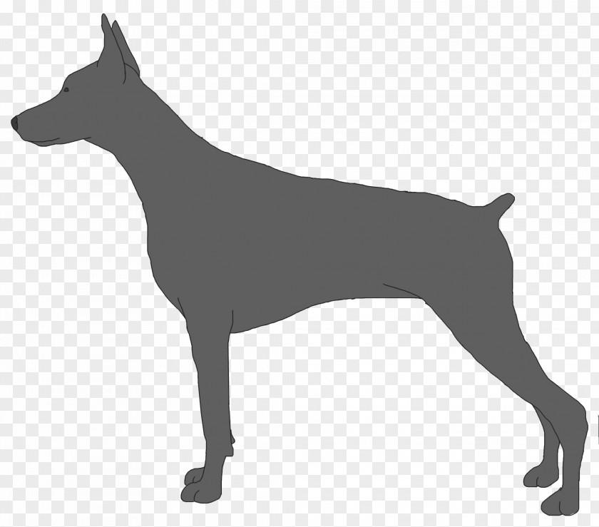 Dog Dobermann Miniature Pinscher Muzzle Breed Guard PNG