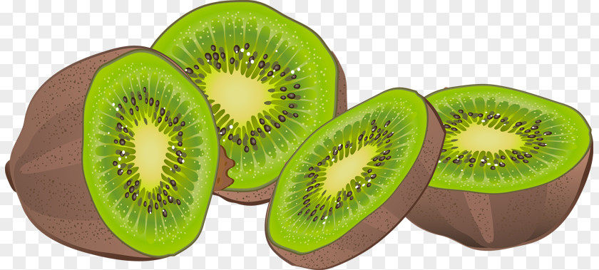 Kiwi Fruit Cliparts Kiwifruit Clip Art PNG