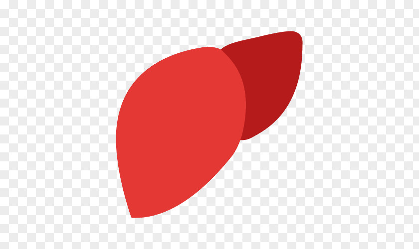 Liver Disease Fatty PNG